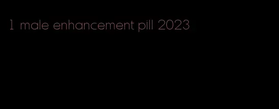 #1 male enhancement pill 2023