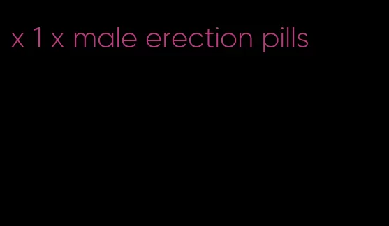 x 1 x male erection pills