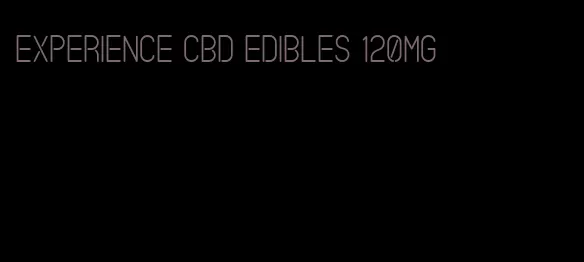 experience cbd edibles 120mg