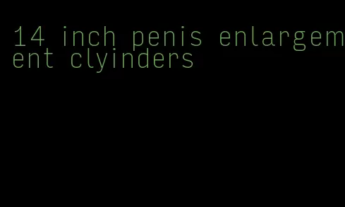 14 inch penis enlargement clyinders