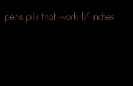 penis pills that work 17 inches