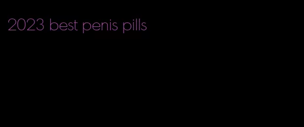 2023 best penis pills