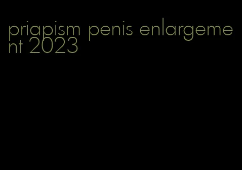 priapism penis enlargement 2023