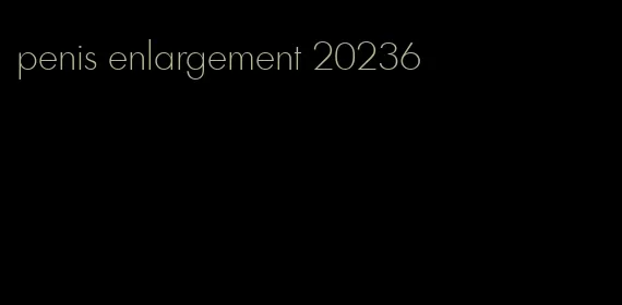 penis enlargement 20236