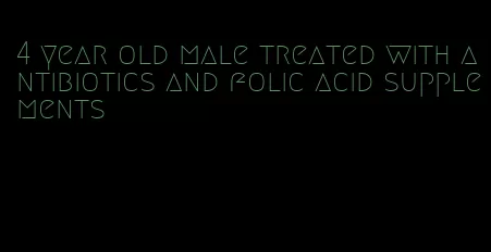 4 year old male treated with antibiotics and folic acid supplements