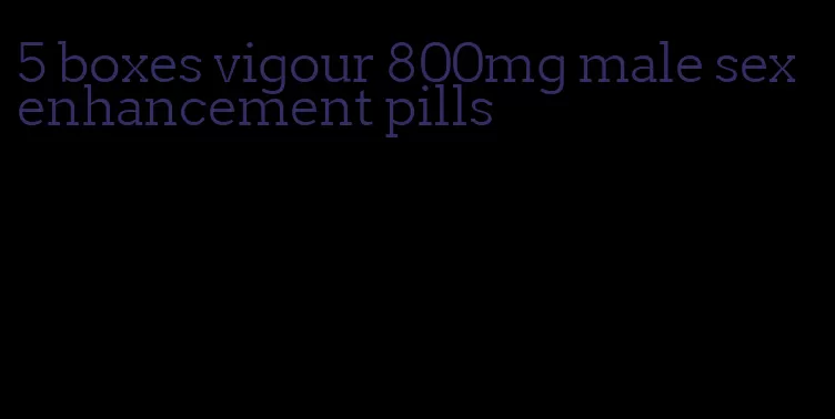 5 boxes vigour 800mg male sex enhancement pills