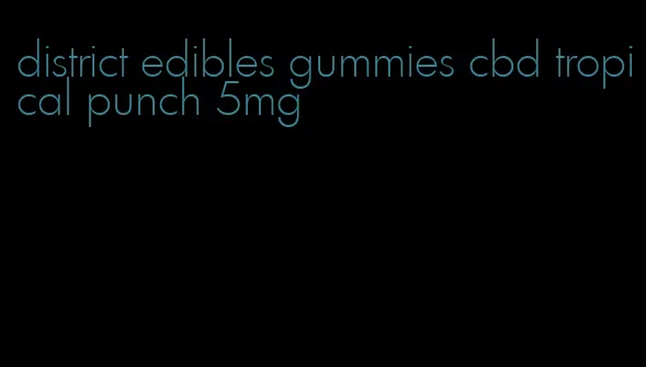 district edibles gummies cbd tropical punch 5mg