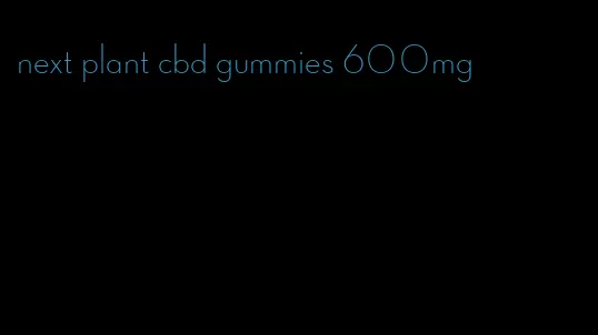 next plant cbd gummies 600mg