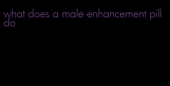 what does a male enhancement pill do