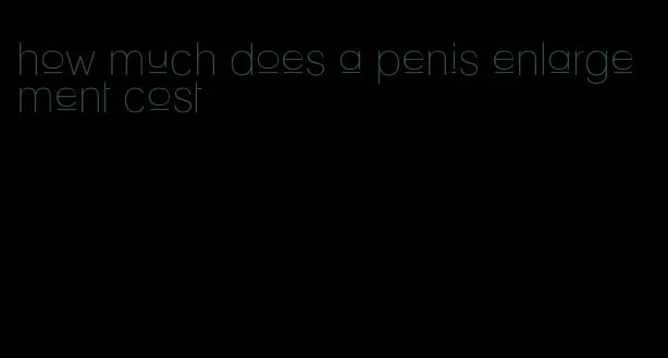 how much does a penis enlargement cost