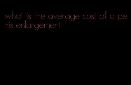 what is the average cost of a penis enlargement