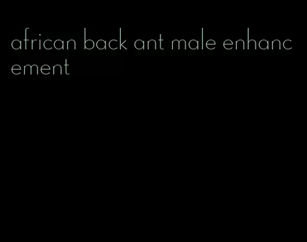 african back ant male enhancement