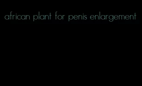 african plant for penis enlargement