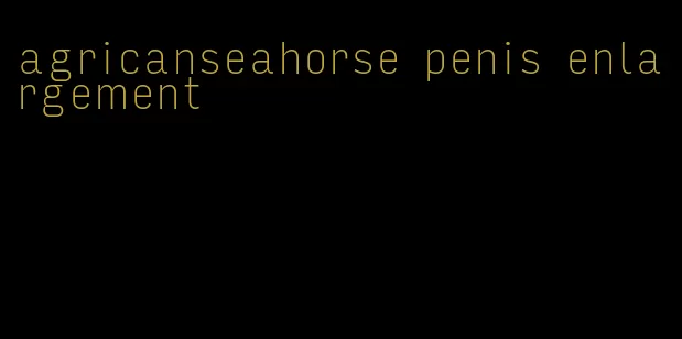 agricanseahorse penis enlargement