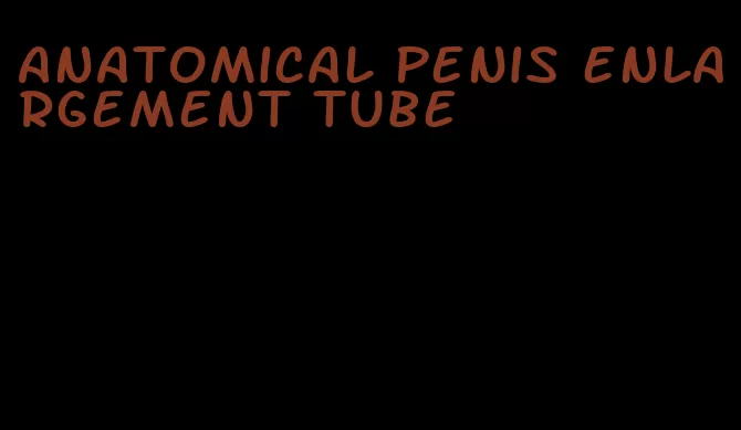 anatomical penis enlargement tube