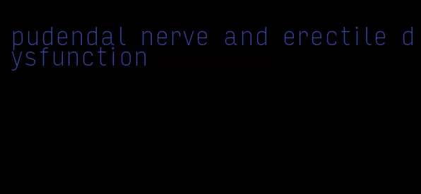 pudendal nerve and erectile dysfunction