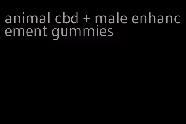 animal cbd + male enhancement gummies