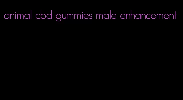 animal cbd gummies male enhancement