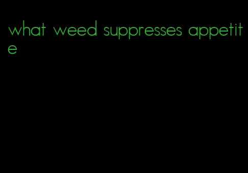 what weed suppresses appetite