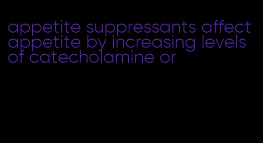 appetite suppressants affect appetite by increasing levels of catecholamine or