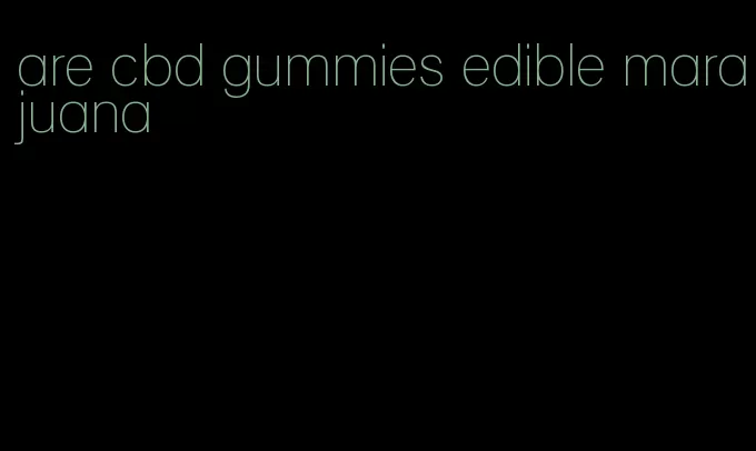 are cbd gummies edible marajuana