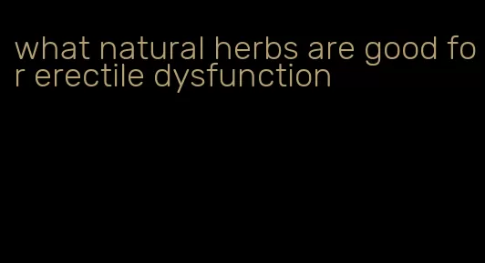 what natural herbs are good for erectile dysfunction