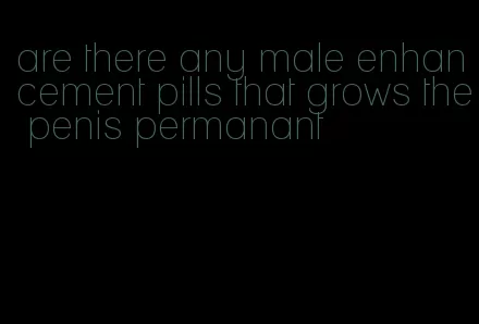 are there any male enhancement pills that grows the penis permanant