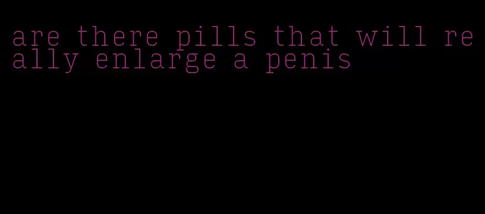 are there pills that will really enlarge a penis