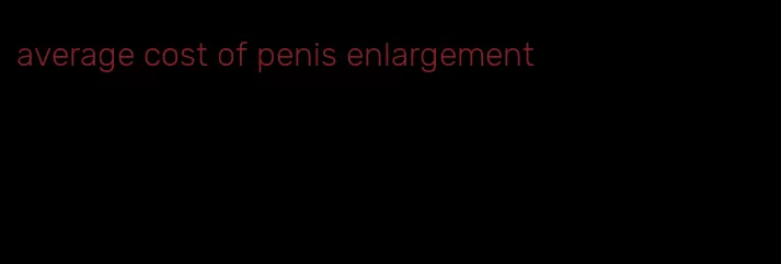 average cost of penis enlargement