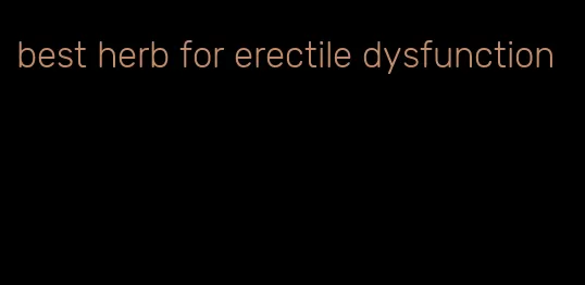 best herb for erectile dysfunction