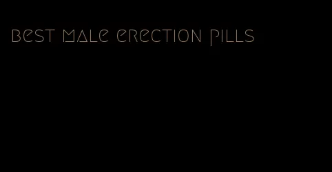 best male erection pills