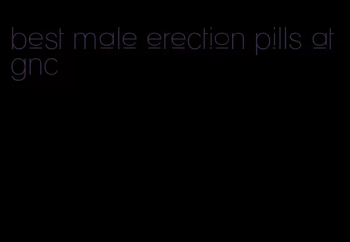 best male erection pills at gnc