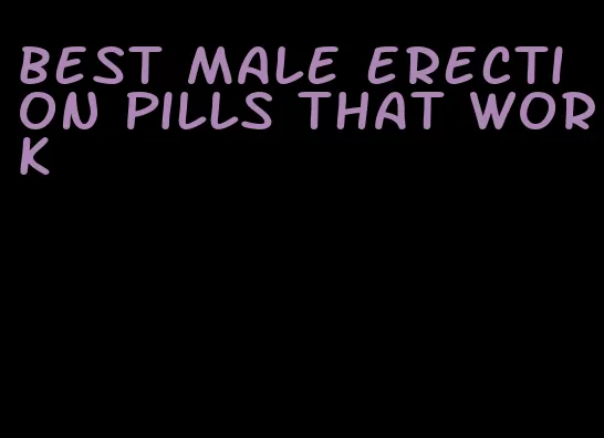 best male erection pills that work