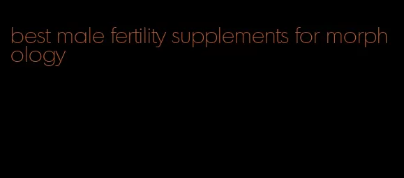 best male fertility supplements for morphology