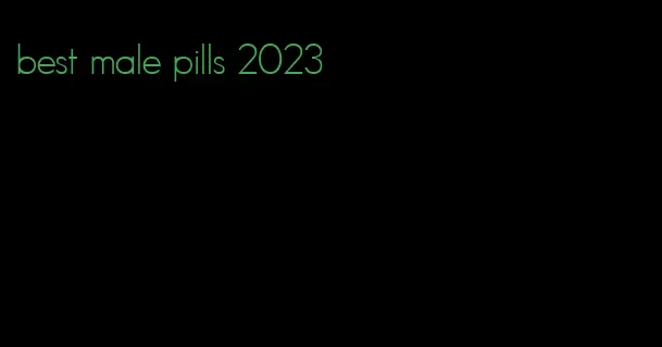 best male pills 2023