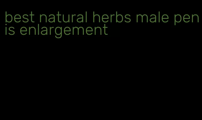 best natural herbs male penis enlargement