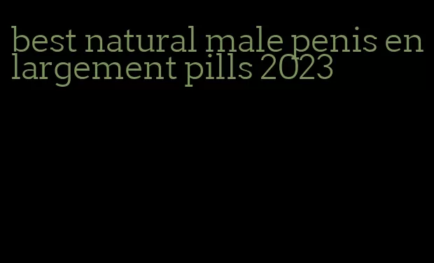 best natural male penis enlargement pills 2023