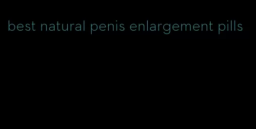 best natural penis enlargement pills