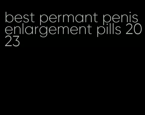 best permant penis enlargement pills 2023