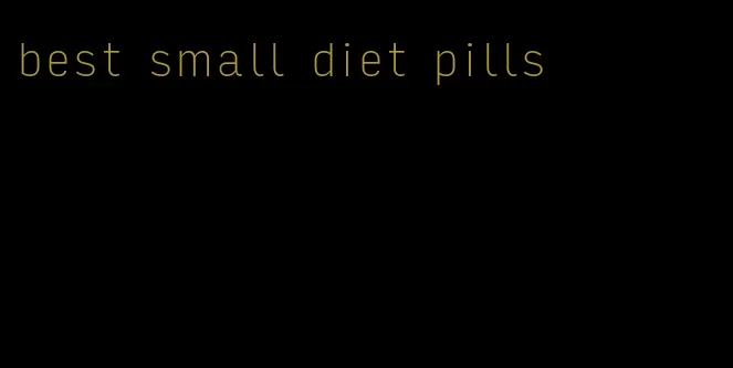 best small diet pills