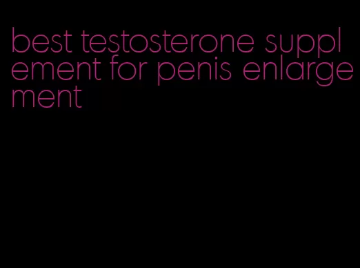 best testosterone supplement for penis enlargement