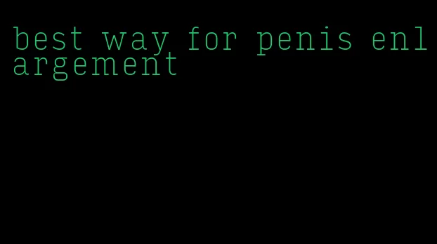 best way for penis enlargement