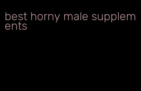 best horny male supplements