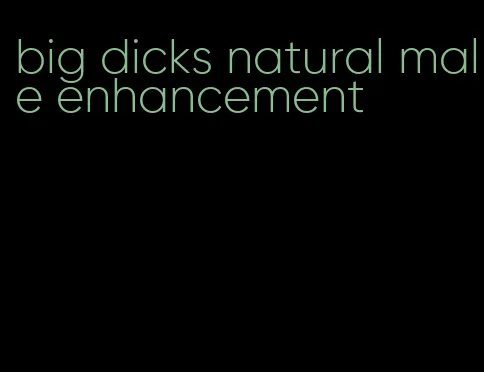 big dicks natural male enhancement