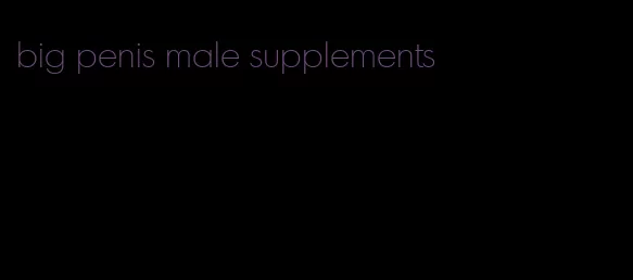 big penis male supplements