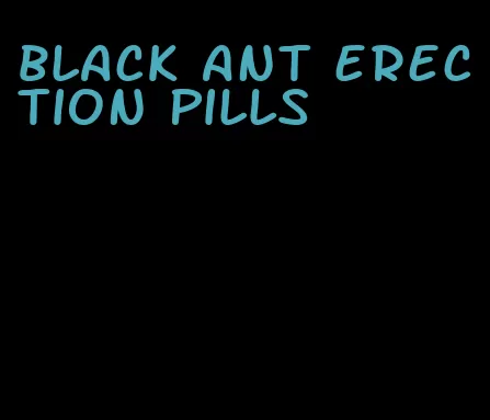 black ant erection pills