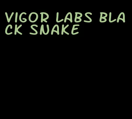 vigor labs black snake