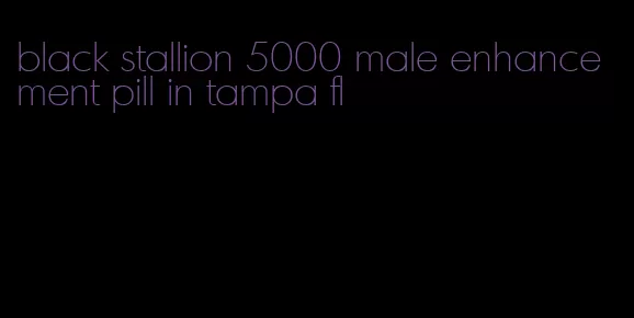 black stallion 5000 male enhancement pill in tampa fl