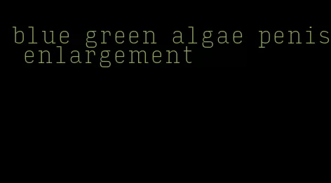 blue green algae penis enlargement