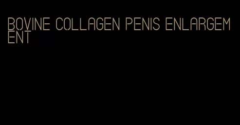 bovine collagen penis enlargement